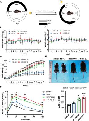 Chronic <mark class="highlighted">jet lag</mark> alters gut microbiome and mycobiome and promotes the progression of MAFLD in HFHFD-fed mice